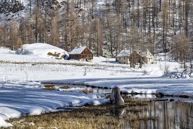 Forest cabin